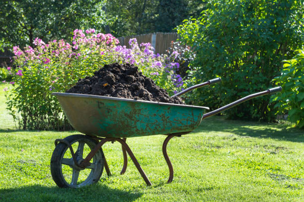 istock Garden-wheelbarrow filled with soil on a farm. 653841194
