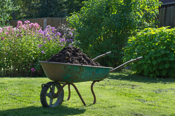 istock Garden-wheelbarrow filled with soil on a farm. 653841220