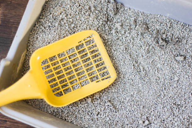 желтый пластиковый совок на сером ящике для мусора, наполненный синим мусором песок - litter box box clean shovel стоковые фото и изображения