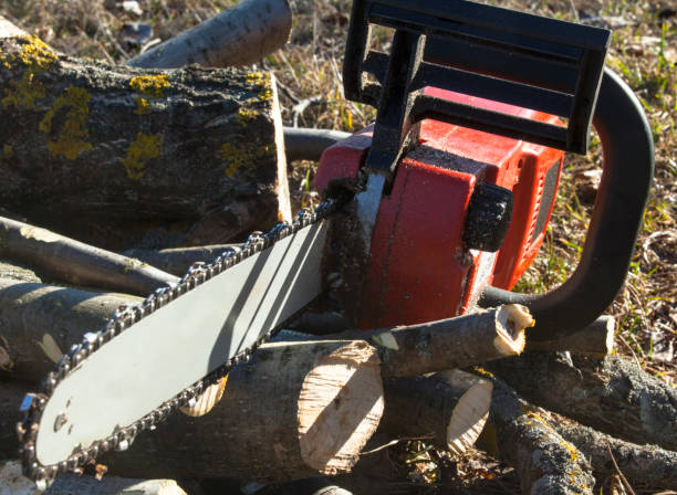 sierra de cadena en la pila de troncos cortados. - chainsaw chain deciduous tree forester woodpile fotografías e imágenes de stock