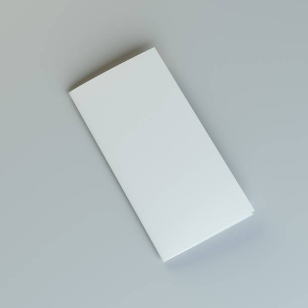 istock Stationary positioned blank two fold paper brochure 653847440