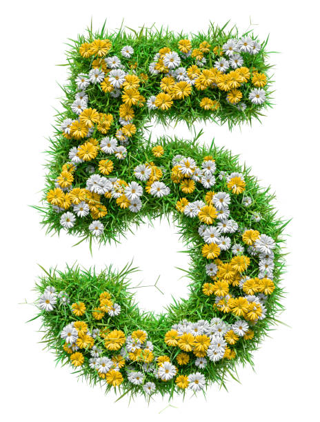 istock Number 5 Of Green Grass And Flowers 653848040