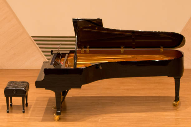 istock About to start classical music concert 653857082