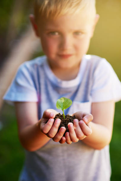 Portrait of a little boy holding a plant growing out of soil