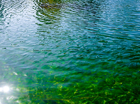 green abstract background. Reflection of light on a smooth surface of water with small waves. \nTidewater green background with copy space for design.