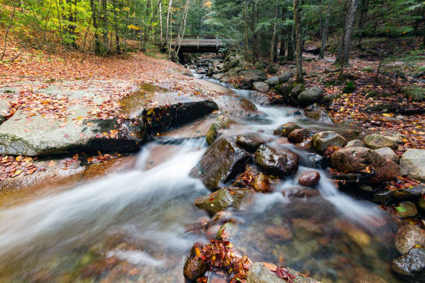 istock franconia notch state park, new hampshire, usa 653864950