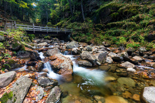 franconia notch state park, new hampshire, usa water stream and falls in franconia notch state park, new hampshire, usaWooden walkway and steps along the Flume Gorge in Franconia Notch State Park, New Hampshire, USA. franconia new hampshire stock pictures, royalty-free photos & images