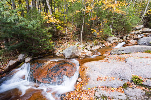 istock franconia notch state park, new hampshire, usa 653869248