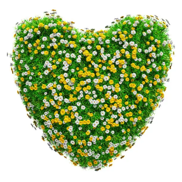 Heart of green grass and flowers on white background, 3d illustration. Template for your design