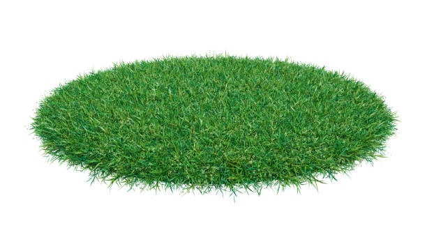 istock Mock-up round piece of green grass 653869328