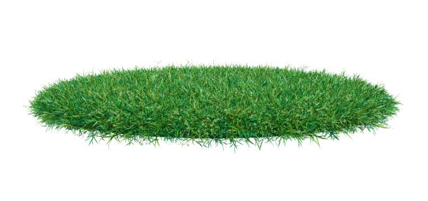 istock Mock-up round piece of green grass 653869344
