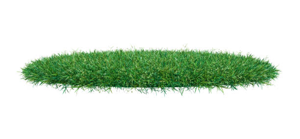 istock Mock-up round piece of green grass 653869348