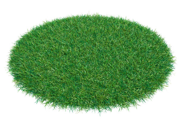 istock Mock-up round piece of green grass 653869396