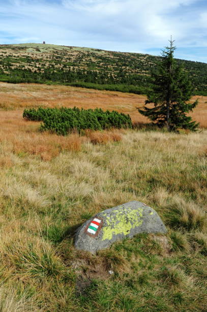 istock View of the rocky landscape 653869838