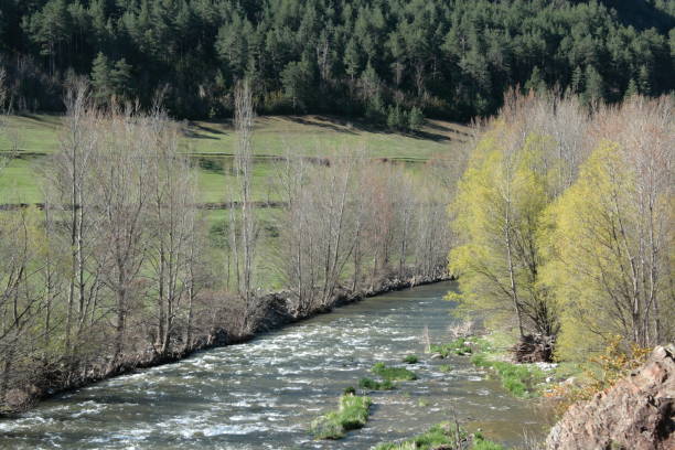 istock Riu Segre river in Pyrenean  Catalonia, Spain 653870260