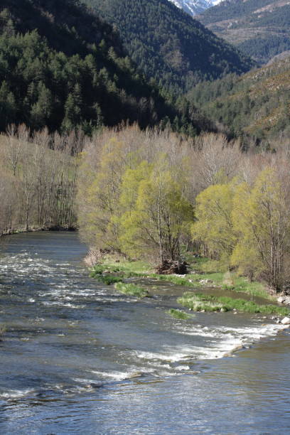 istock Riu Segre river in Pyrenean  Catalonia, Spain 653870580