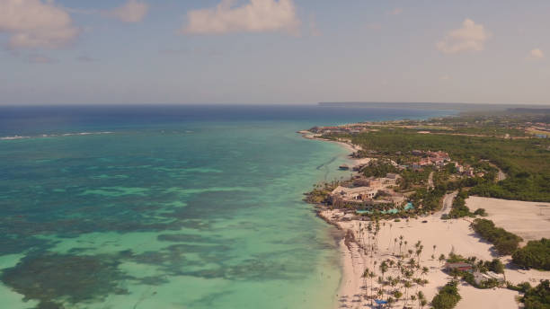 istock View of the beach with palm trees on top 653870684