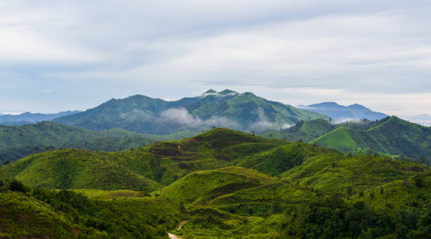 istock View point of 