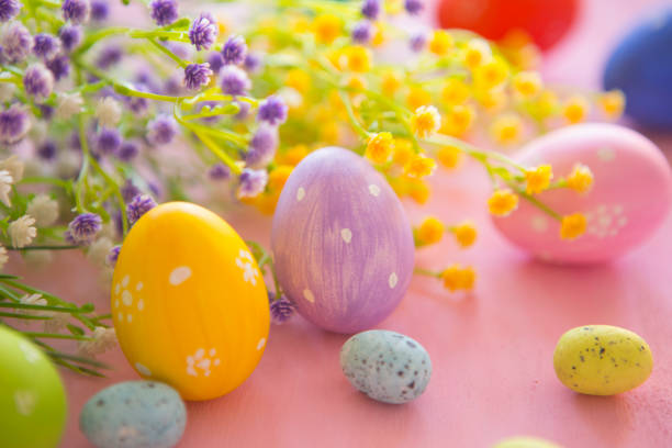 istock Easter eggs with spring blossom flowers on pink wooden background. 653871052