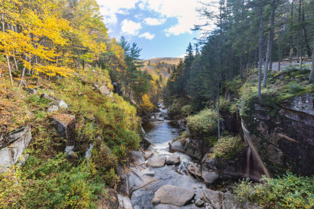 water stream and falls in franconia notch state park, new hampshire, usaWooden walkway and steps along the Flume Gorge in Franconia Notch State Park, New Hampshire, USA.