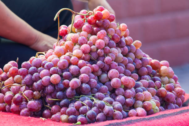 istock Stack of Grape in local market stall in Zhangye, China. 653875186