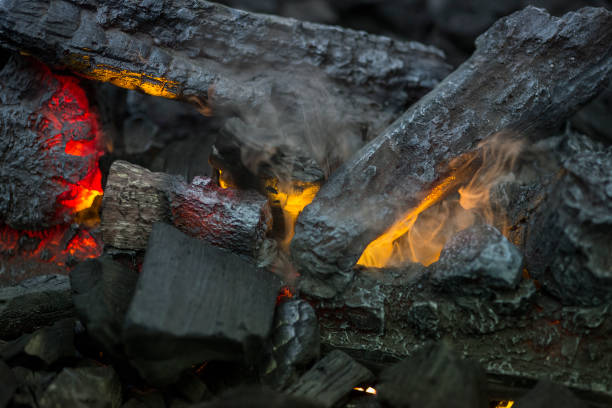 istock Close up of flames in log fire in cozy fire 653876358
