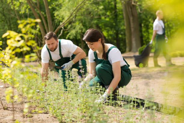 istock Two gardeners placing new plants 653876608
