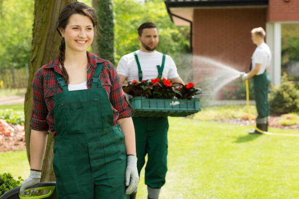 istock Cheerful gardener enjoying work in garden 653876692