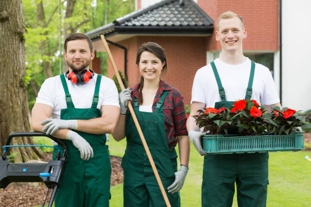 istock Gardeners with gardening tools and flowers 653876694