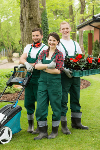 istock Happy gardeners with plants and lawn mower 653876726