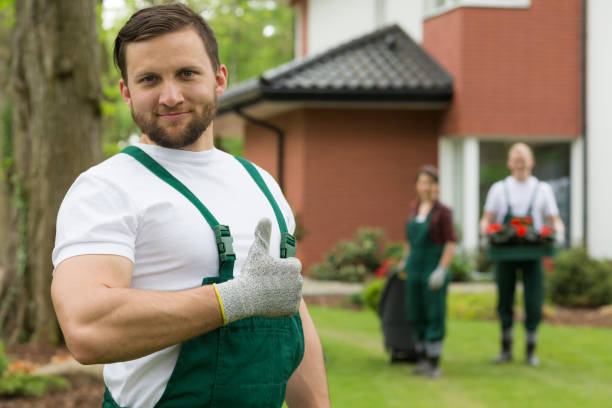 istock Proud gardener smiling with the thumb up 653876728