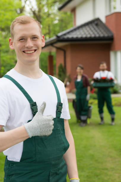 istock Smiling gardener standing with the thumb up 653876760