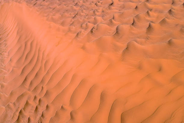 istock Sahara Desert Texture, Wallpaper and Background 653877726