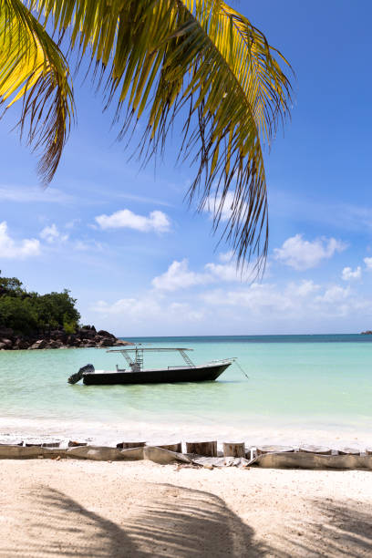 istock Tropical beach, Anse Volbert at Praslin island, Seychelles 653880532