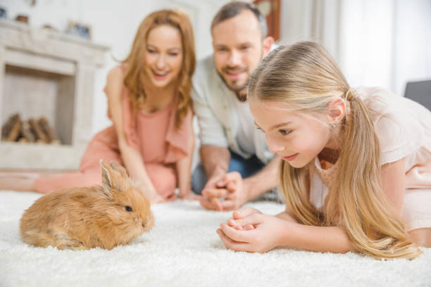 istock Happy family with rabbit 653883290