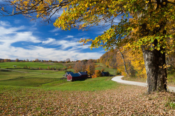istock Autumn in Vermont (USA) 653883658