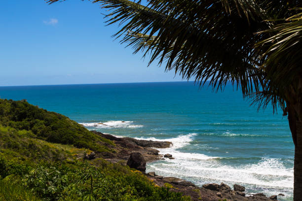 istock Tropical Beach at Coast Coco in Bahia, Brazil 653884984