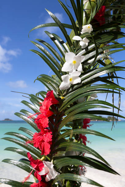 istock Wedding decoration at Praslin island, Seychelles 653887156