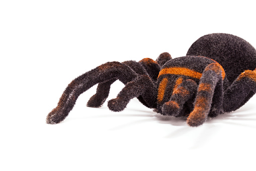 Spider Stuffed Animal Isolated On White Stock Photo - Download Image Now -  Arachnophobia, Childhood, Concepts & Topics - iStock