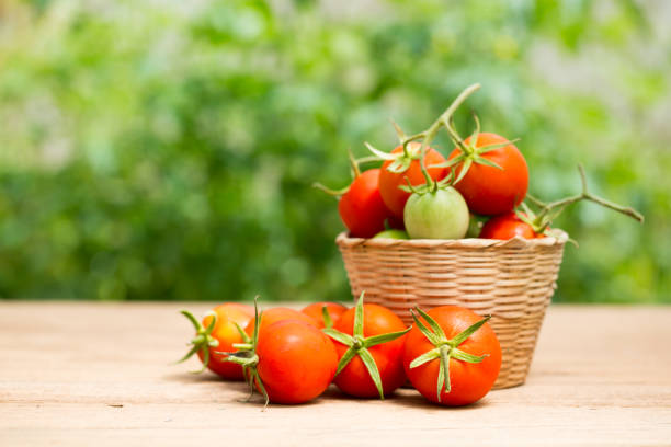istock fresh tomato on wooden and green background 653887500