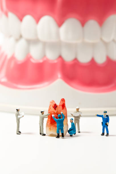 istock miniature people to clean tooth model on white background 653890124