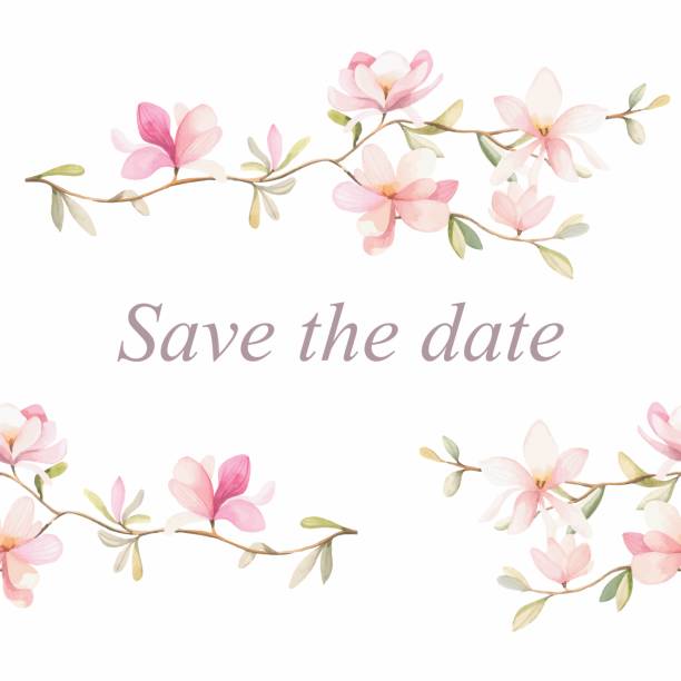 ilustrações de stock, clip art, desenhos animados e ícones de floral frame background - clipping path wedding invitation invitation message