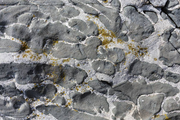 абстрактный каменный фон - surrounding wall boulder basalt igneous rock стоковые фото и изображения