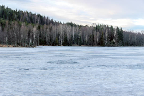 istock trees at frozen lake side in winter 653896512