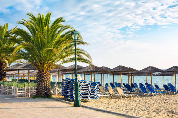 istock Wooden umbrellas at sandy beach, and palm tree 653898866