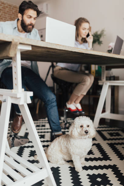 istock Photography team brainstorming in the office 653899600