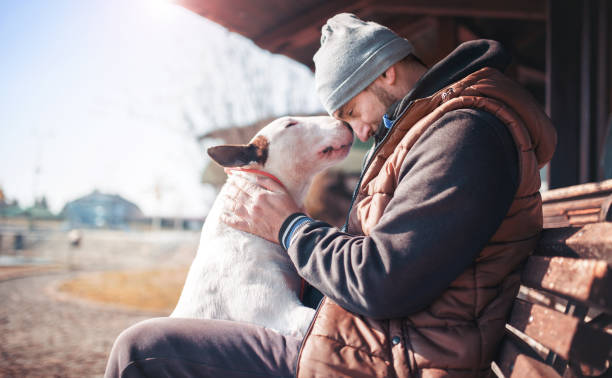 Moments of love between dog and his owner. Pets and animals concept stock photo