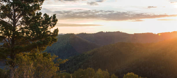 istock Beauty dawn in the mountains 653905532