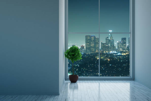 istock Concrete room with plant at night 653906890