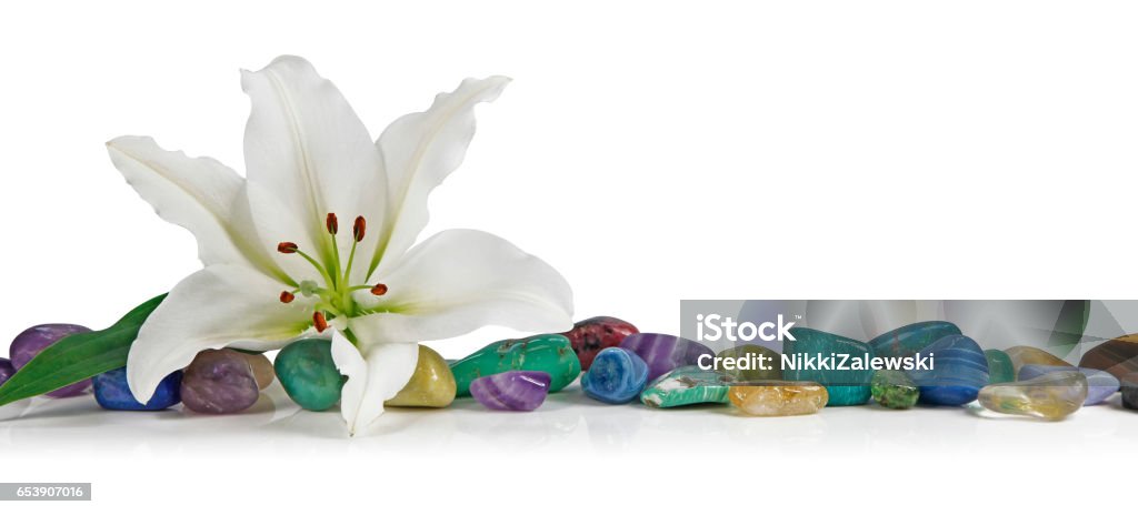 White Lily and healing Crystals A solitary lily place on top of a row of multicolored tumbled healing stones on a white background Crystal Healing Stock Photo